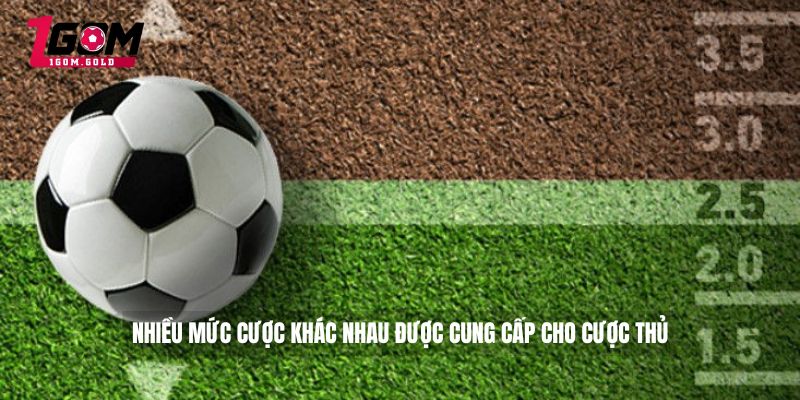 Soi Kèo Tài Xỉu Bóng Đá - Bí Kíp Đánh Tài Xỉu Bóng Đá Cực Dễ 3 Nhiều mức cược khác nhau được cung cấp cho cược thủ